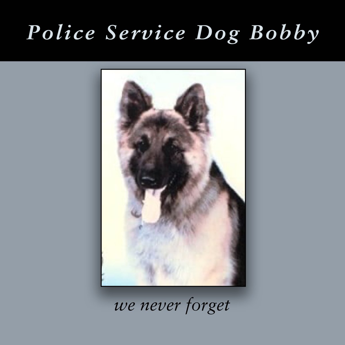 AdamPalmerRCMP's tweet photo. We #NeverForget #VPD #PoliceServiceDog 'Bobby' who was killed in the #LineOfDuty 38 yrs ago today at W 33rd Ave & Camosun St while conducting a search with his partner, Cst. Eric Petit @VPDCanine #GSD #PoliceK9 #K9Heroes @VancouverPD https://t.co/wDnpNklKwX
