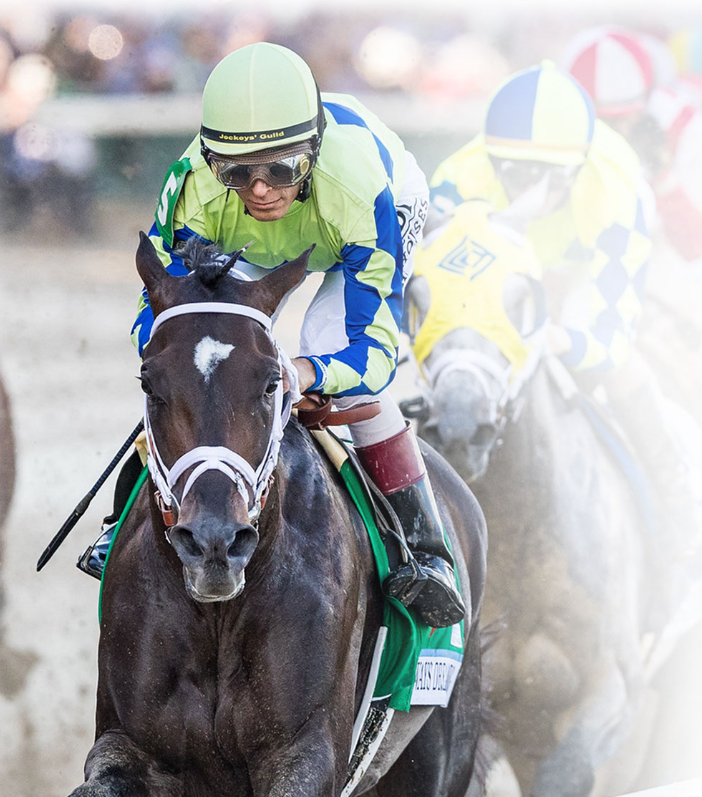 West Point Tbred tweet media