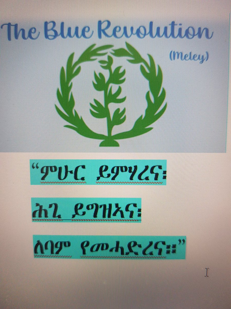AlmazNegas67421's tweet photo. #TransnationalRepression #Eritrean BlueRevolution we need justice now #Nomer Dictator https://t.co/URZss5a9dn