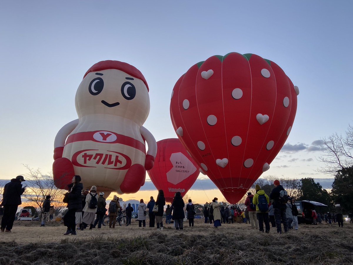 オフィシャル気球、栃木市のいちご型の熱気球「ハートベリー号