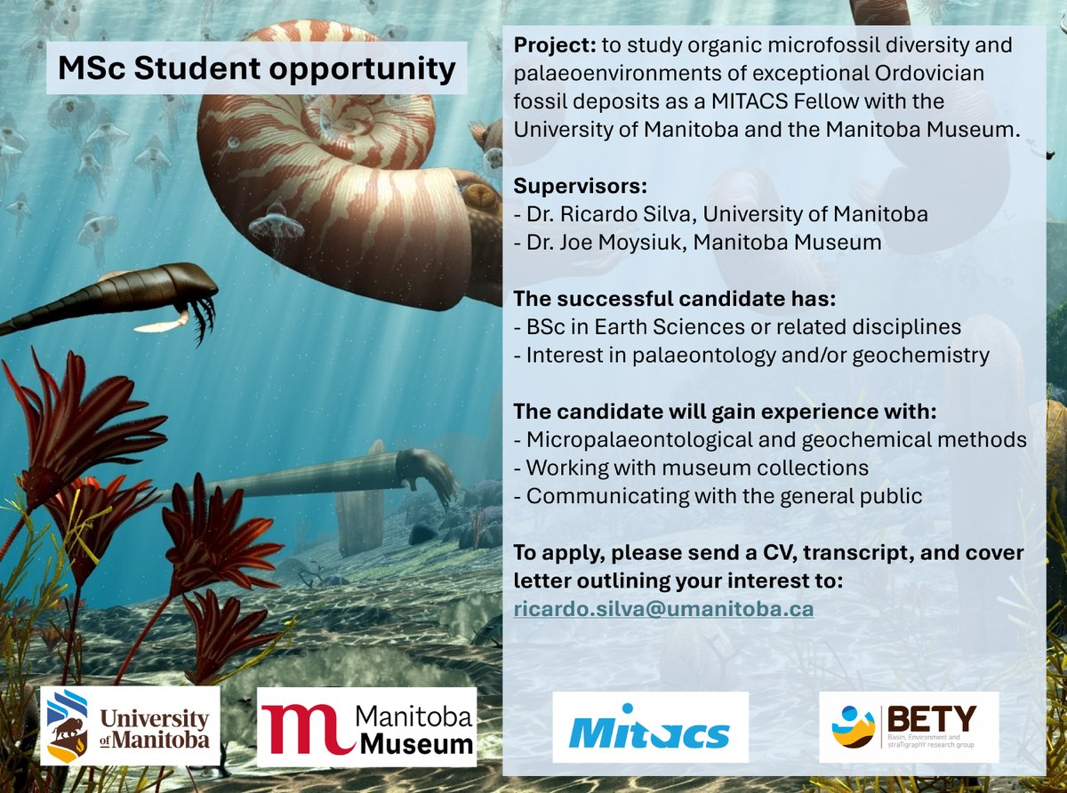 Dr. Joe Moysiuk (@cambrojoe) on Twitter photo Please share around: I'm very pleased to announce a fully funded MSc position opening with <a href="/ricardo_CaCO3/">Ricardo L. Silva</a> and I at <a href="/RiddellFaculty/">UMRiddellFaculty</a> & <a href="/ManitobaMuseum/">Manitoba Museum</a>. More details here: joemoysiuk.weebly.com/student-opport…
#FossilFriday #Ordovician Please share around: I'm very pleased to announce a fully funded MSc position opening with <a href="/ricardo_CaCO3/">Ricardo L. Silva</a> and I at <a href="/RiddellFaculty/">UMRiddellFaculty</a> & <a href="/ManitobaMuseum/">Manitoba Museum</a>. More details here: joemoysiuk.weebly.com/student-opport…
#FossilFriday #Ordovician