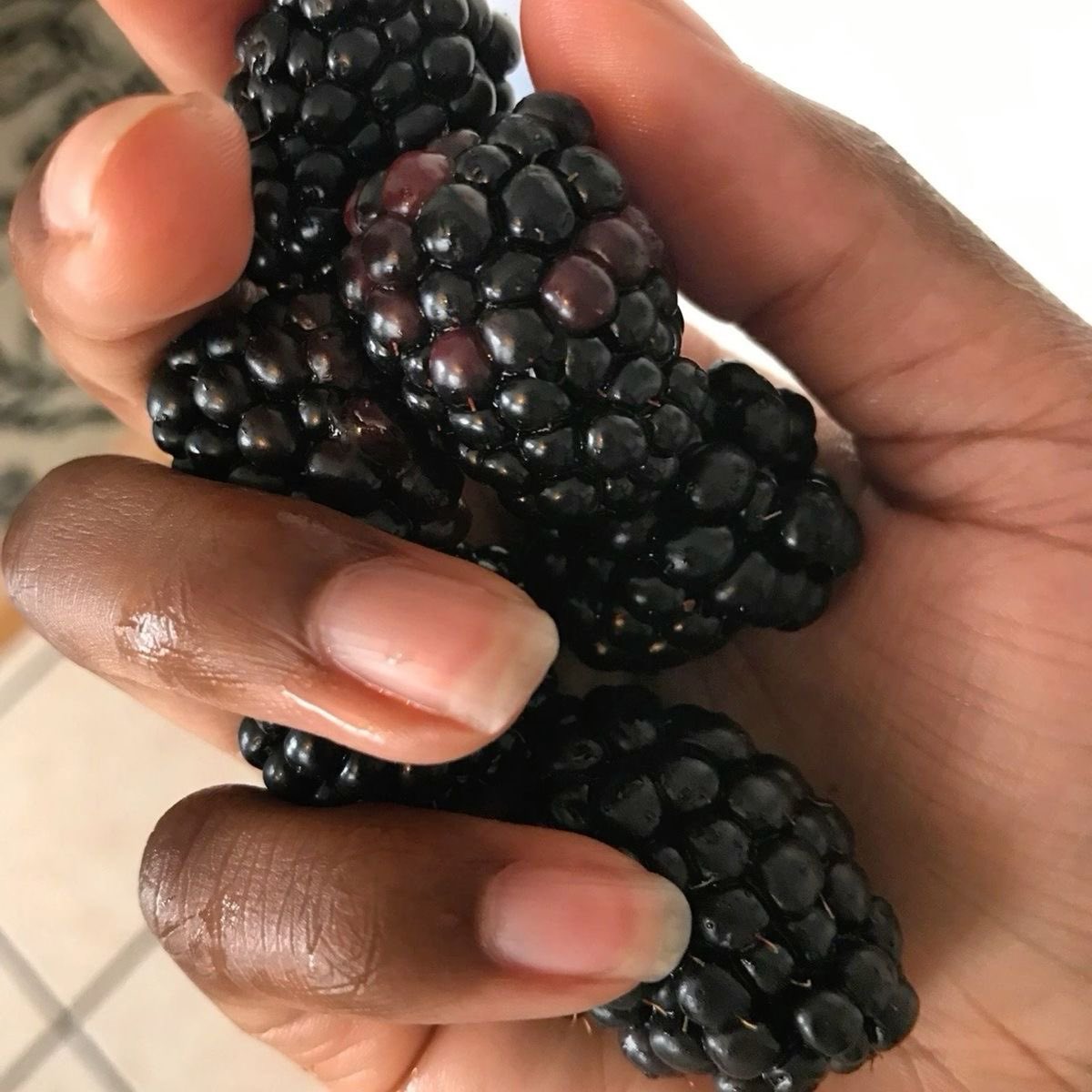 leascalss's tweet image. intro ⋆｡𖦹
✧(07) , dont report js block , she/her , ednos 

— #edtwt #shedtwt #shtwt 

‹𝟹/⟳ to be moots 𖤣.𖥧.𖡼.⚘