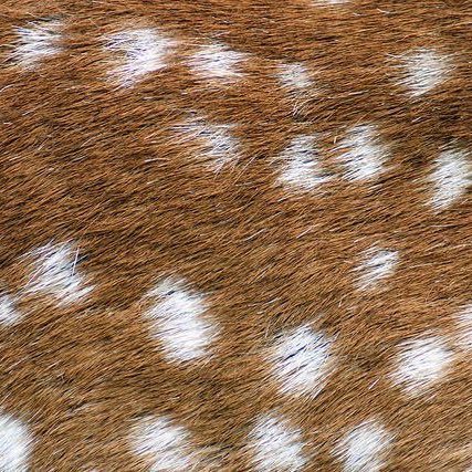 leascalss's tweet image. intro ⋆｡𖦹
✧(07) , dont report js block , she/her , ednos 

— #edtwt #shedtwt #shtwt 

‹𝟹/⟳ to be moots 𖤣.𖥧.𖡼.⚘