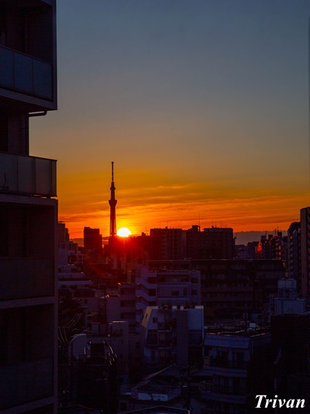 jtki2004's tweet image. 日出処の塔
この時期の日の出はスカイツリーに絡む
jtki2004.blog.fc2.com/blog-entry-283…
#日の出 #スカイツリー #BIUTIFUL #東京単身赴任 #トリバン