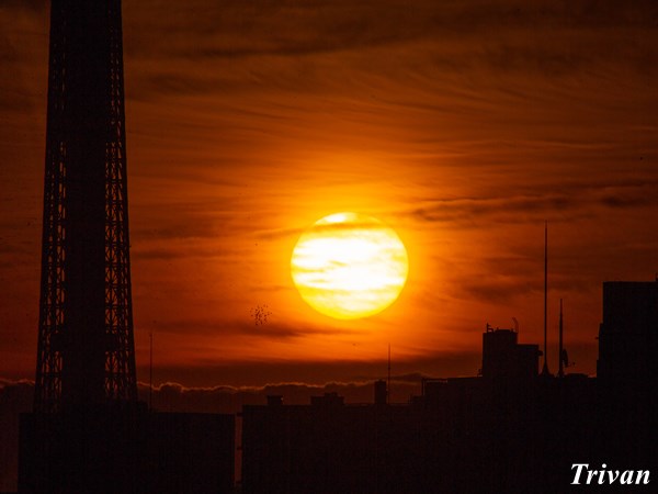 jtki2004's tweet image. 日出処の塔
この時期の日の出はスカイツリーに絡む
jtki2004.blog.fc2.com/blog-entry-283…
#日の出 #スカイツリー #BIUTIFUL #東京単身赴任 #トリバン