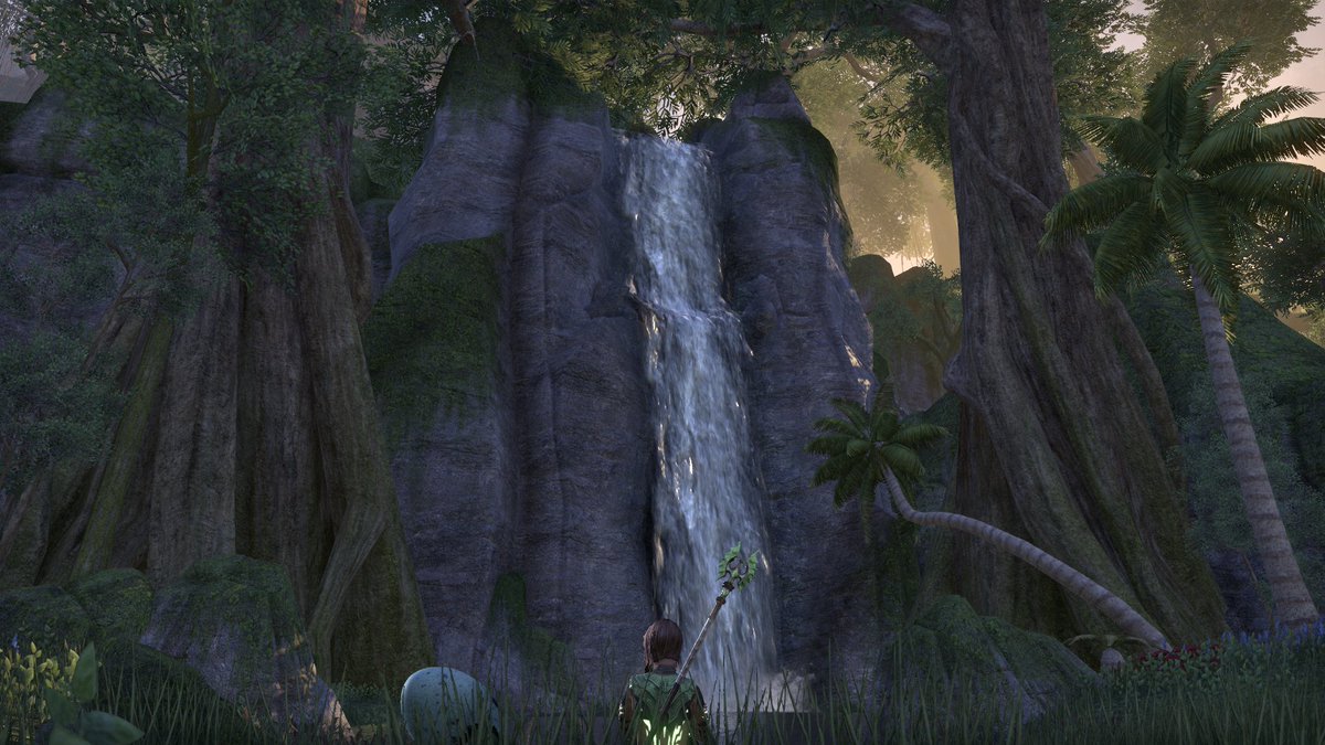 Me: I’m gonna do this dungeon real quick and go to sleep.

Also me: Spends 90 minutes staring at a waterfall, wondering how my life would be if I lived here. 

#ESOFam