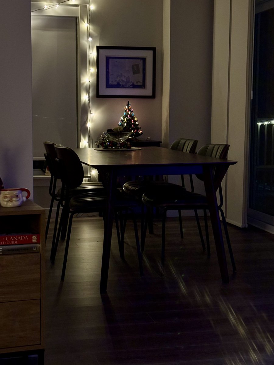 belllindsay's tweet image. My new most favourite time of the day. Lights are low (for my eyes) just Xmas lights and fireplace - and I sit in the living room with herbal tea and a good book to read. #SoLame #YetSoTired #PostConcussionSyndrome