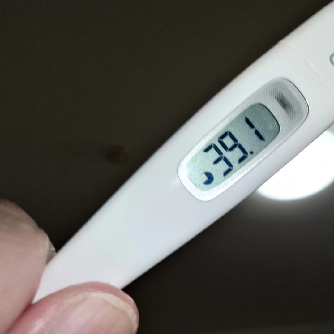 そういえば昨晩はマックスの39.1度更新してた💦💦 今は平熱 また上がる