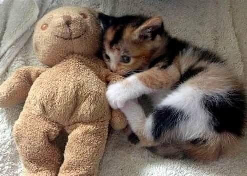 iluvmcca's tweet photo. @messygurl777 un besito para vos keit tqm https://t.co/cQcQsHavHt