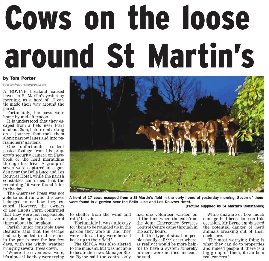 StAMooringCte's tweet image. “They weren’t mine!  I only let mine loose in St Andrew. They know where the parish boundary is too!”    #stumpy