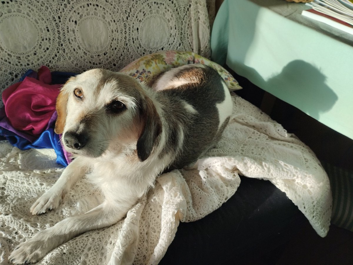 David Prieto @d_prieto@peoplemaking.games tweet media