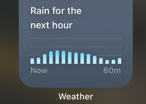 frogs4girls's tweet image. everywhere for those with eyes to see etc