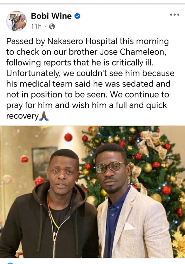 Here is bobi blacked to see Jose chameleon