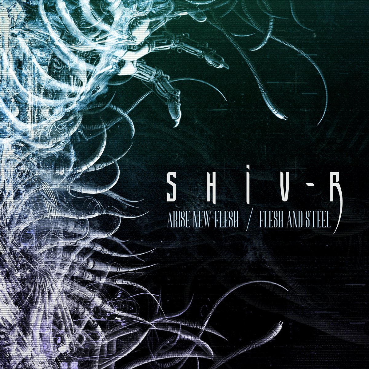 The new SHIV-R double-single is out now on all platforms! shiv-r.com/arise-new-fles…