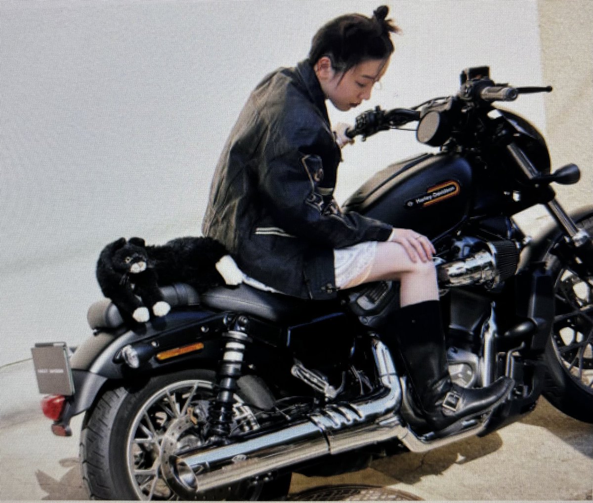 3LQDNChmYZ89095's tweet photo. ハーレ🏍️も乗りこなす永野芽郁ちゃん😃
#永野芽郁
#ハーレダビッドソン
#バイク
#hareda davidson https://t.co/1kvrhg6IvM