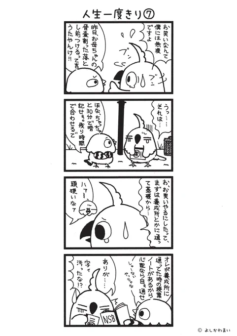 人生一度きり⑦
#漫画が読めるハッシュタグ
#お笑いやるで

長編『人生一度きり』全14話、本日は第7話です🎙️✨ハトとオウムの凸凹コンビ、意外とアリ…かも⁉️

漫画の続きが気になったら、フォロー&amp;RTで応援してね📣 