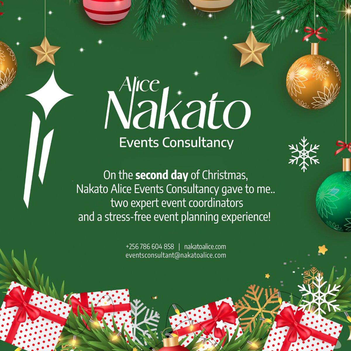 nakatoevents's tweet photo. https://t.co/ZGmXWlyHK9