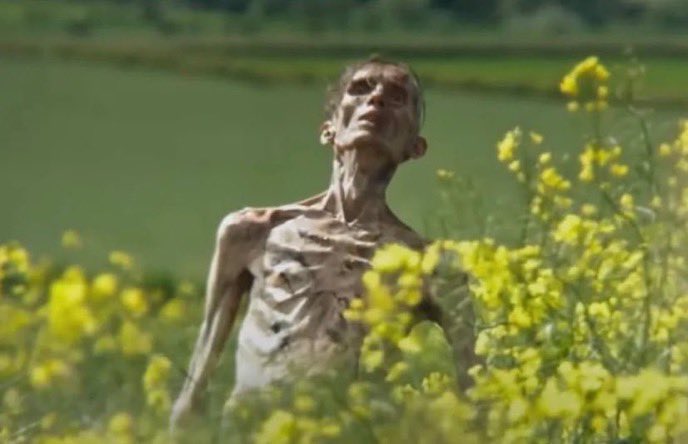 No Context Brits tweet media