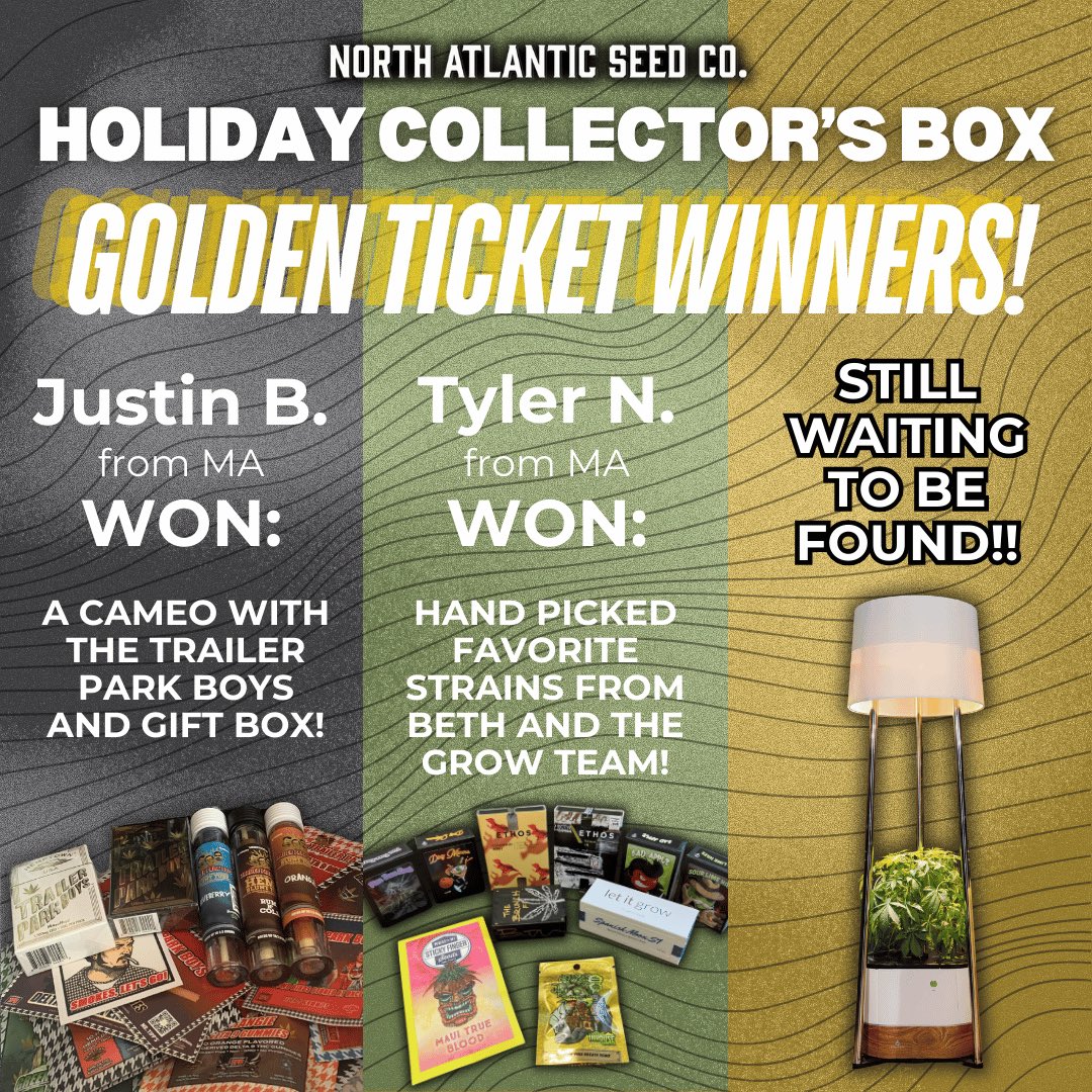N_A_S_C_'s tweet photo. Holiday Collector’s Box Golden Ticket Update 🎫 
Congratulations to Justin B. and Tyler N. for finding Golden Tickets for the Black Box and Green Box! 🎉 Thank you to all the sponsors and breeders for your contributions to these fantastic prizes. 

We still have the Yellow Box Golden Ticket unclaimed! Don’t miss your chance to WIN an Annaboto if you find the last Golden Ticket! @helloannaBoto 

Nothing for sale on social media. Link in bio. Please contact us via email if you find the Golden Ticket!