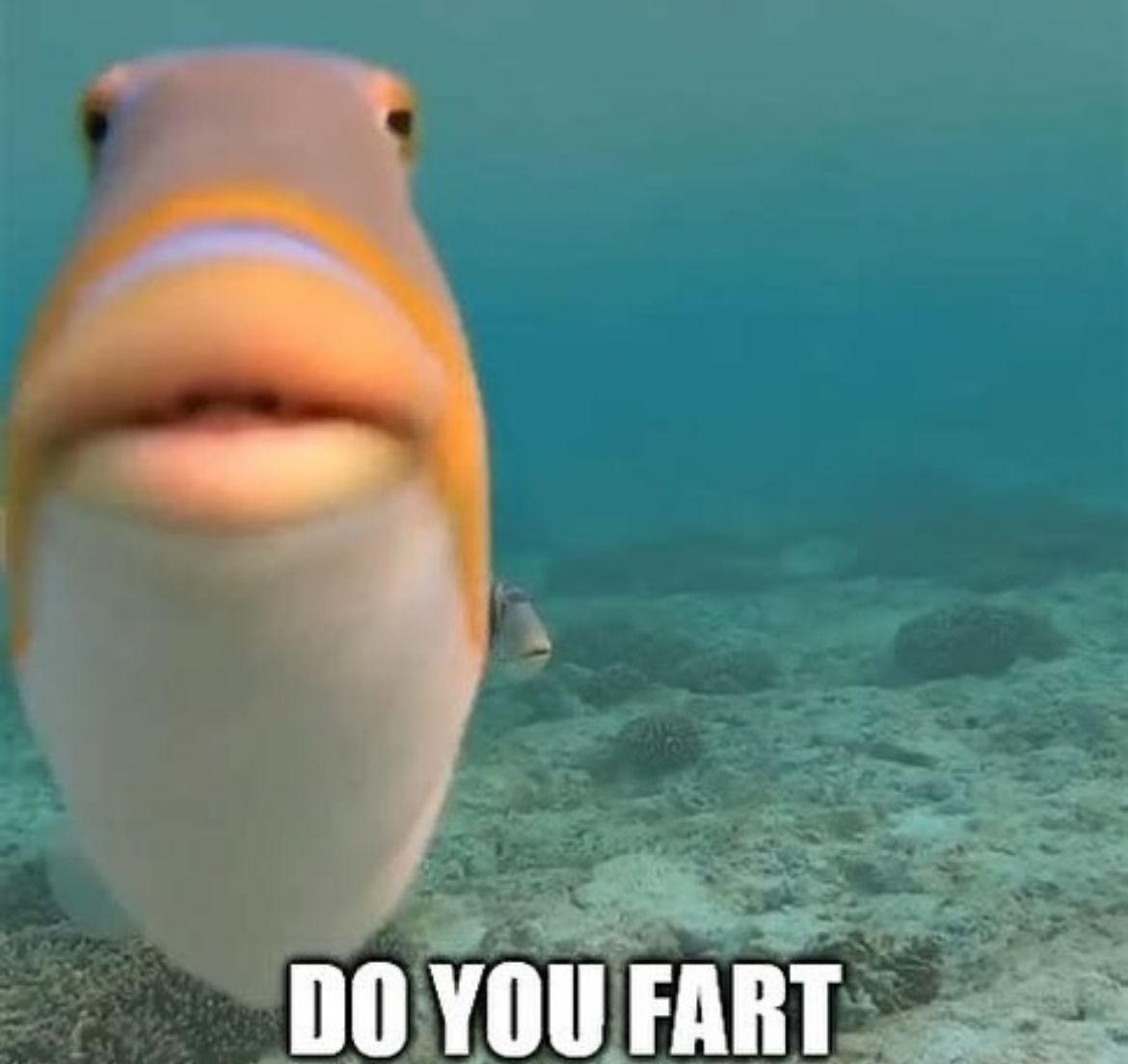 🕐HOURLY🕑 shitpost (@hourly_shitpost) on Twitter photo 