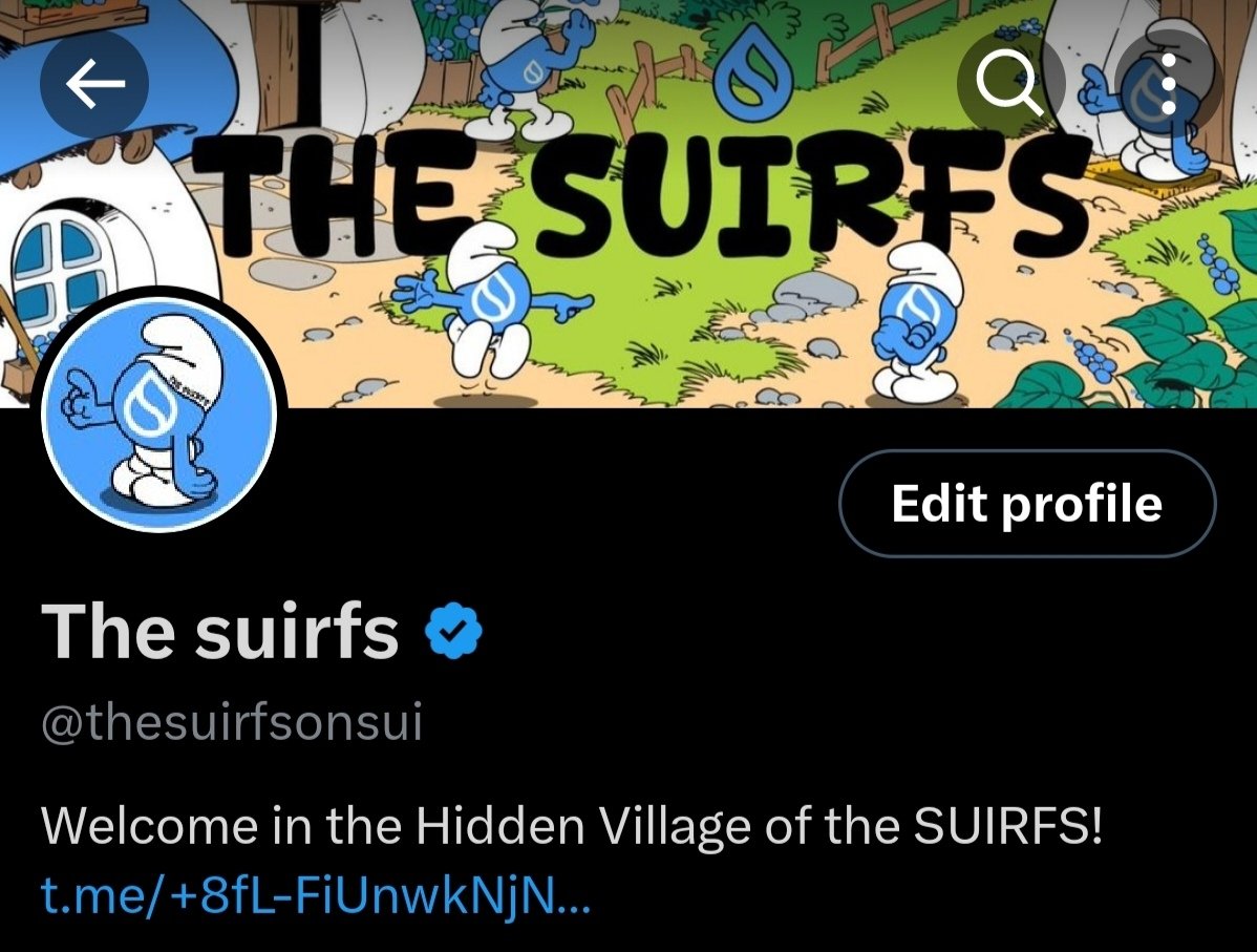 thesuirfsonsui's tweet photo. Hey #Suirfers
We just got our Blue Suirfer 🙏
$SUI #Sui #MemeSui #MemeCoinSui #PePePig #SUITRUMP #aaacat #Suijak $SOG #Sog #SuiChad $BEEG $PLOP $TNKL https://t.co/IiSGor66vE