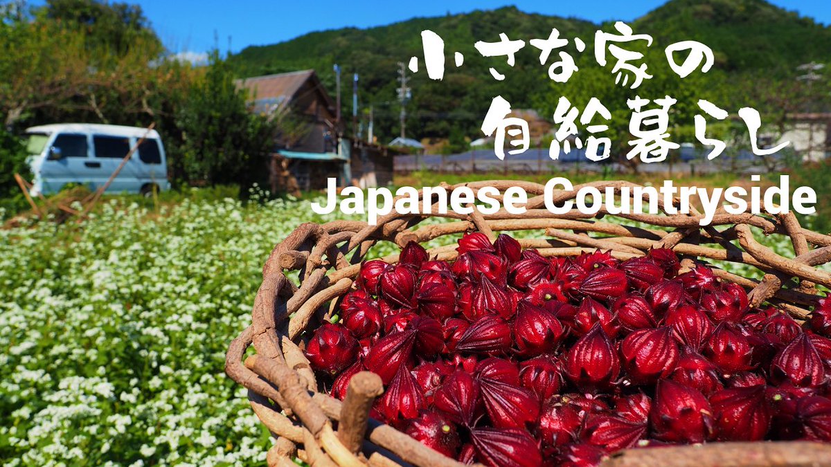 RonNouen's tweet photo. 新しい動画アップしました

『小さな家の自給暮らし』～ローゼルジャムとそば粉のパンケーキを美味しく頂きます
https://t.co/vBDtY8xfiN

手間暇、時間はかかるけど、自分の手で育て、作った食事は格別に美味しいです https://t.co/EqXyxXV4dT