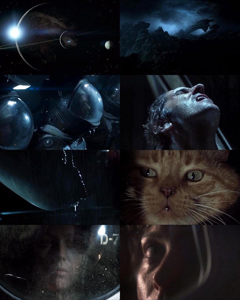 CinemaTweets1's tweet photo. Masterpiece. https://t.co/uLY9YXOqnl