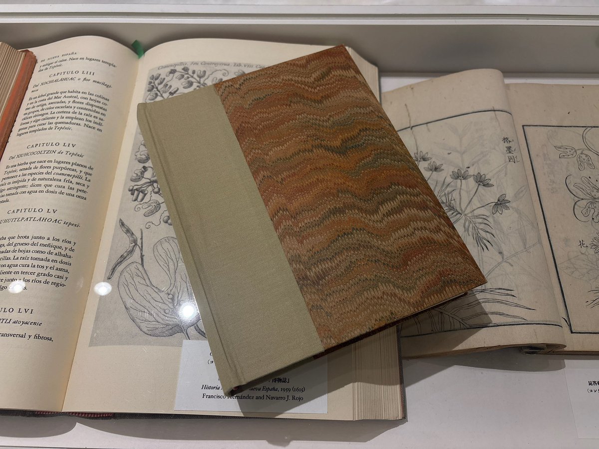 14日15日残り2日間。14日は20時まで開催。最終日は18時終了。