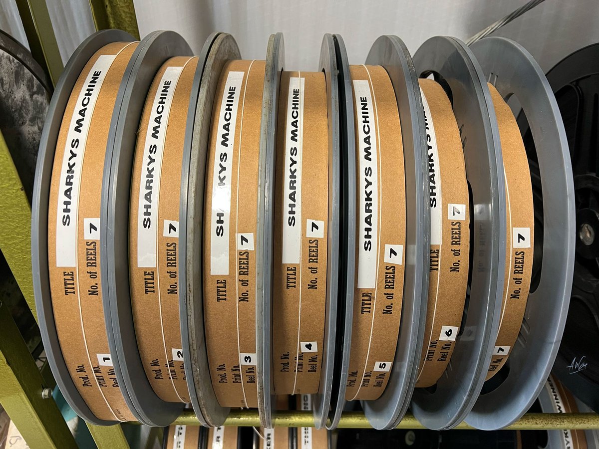 beachtv's tweet image. I'm gonna pull the chain on you, pal. And you wanna know why? 'Cause you're fucking up my city. 'Cause you're walking all over people like you own them. And you wanna know the worst part? You're from out of state. #Sharky 

#BurtReynolds #SharkysMachine #TodaysOffice