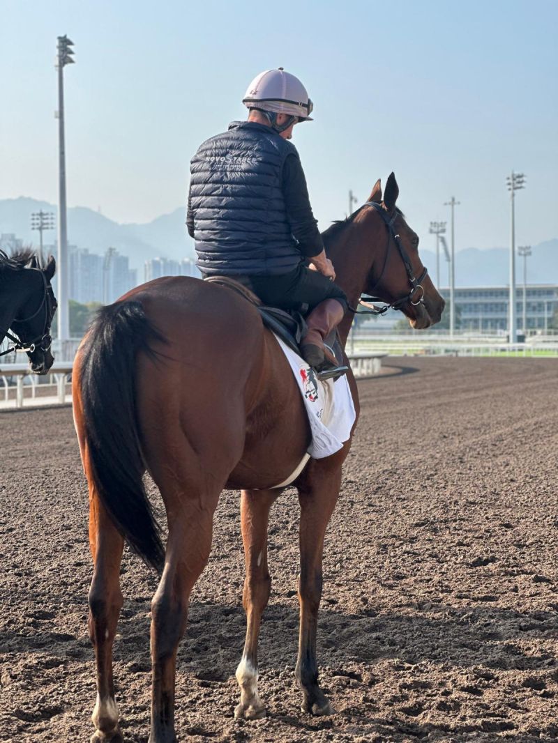 novostable's tweet photo. 🌏✨ Novostable Expands Globally! ✨🌏
What a milestone as Novostable supports Marie Vélon and Iresine in the prestigious Prix de Longines Hong Kong Vase at Sha Tin! Cameras are now rolling in Hong Kong, marking our global expansion. 🏇💫 
#Novostable #GlobalRacing #HongKongVase https://t.co/SDR8DFeQ8X