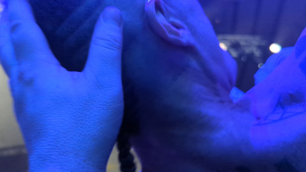 keithAlaws's tweet photo. London last night @DieAntwoord https://t.co/vpazuiU6M6