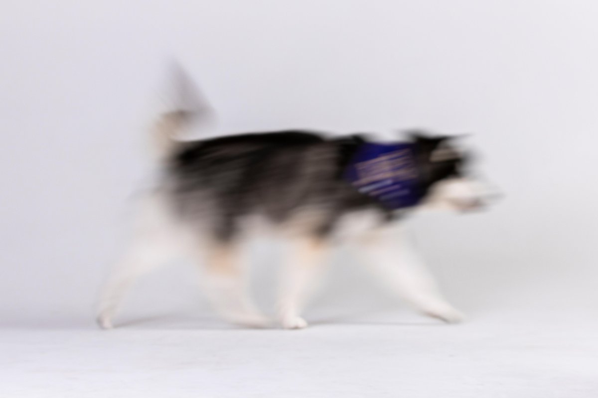 UW tweet picture