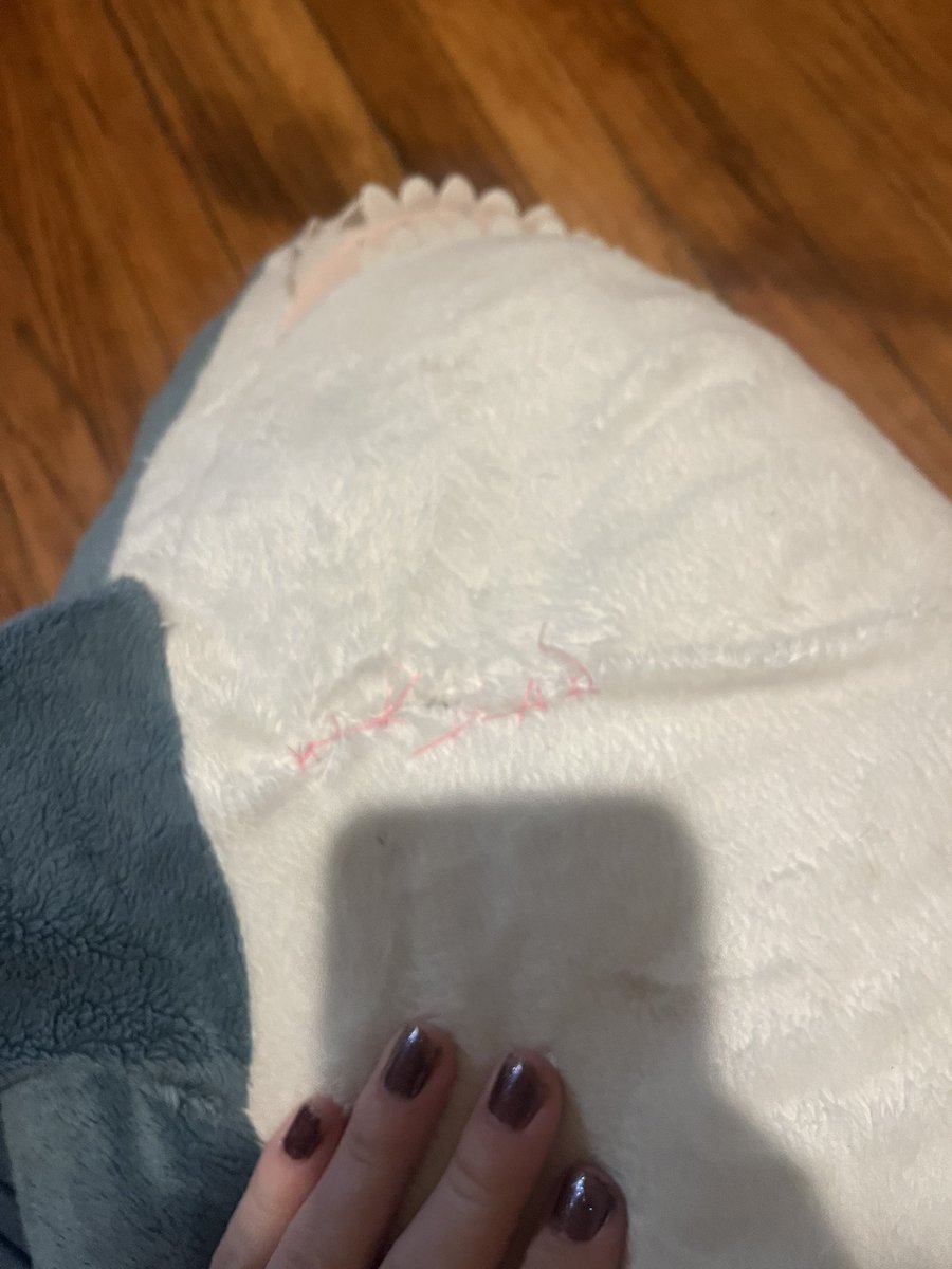 MaineCourseFish's tweet image. Giving my Blahaj top surgery.