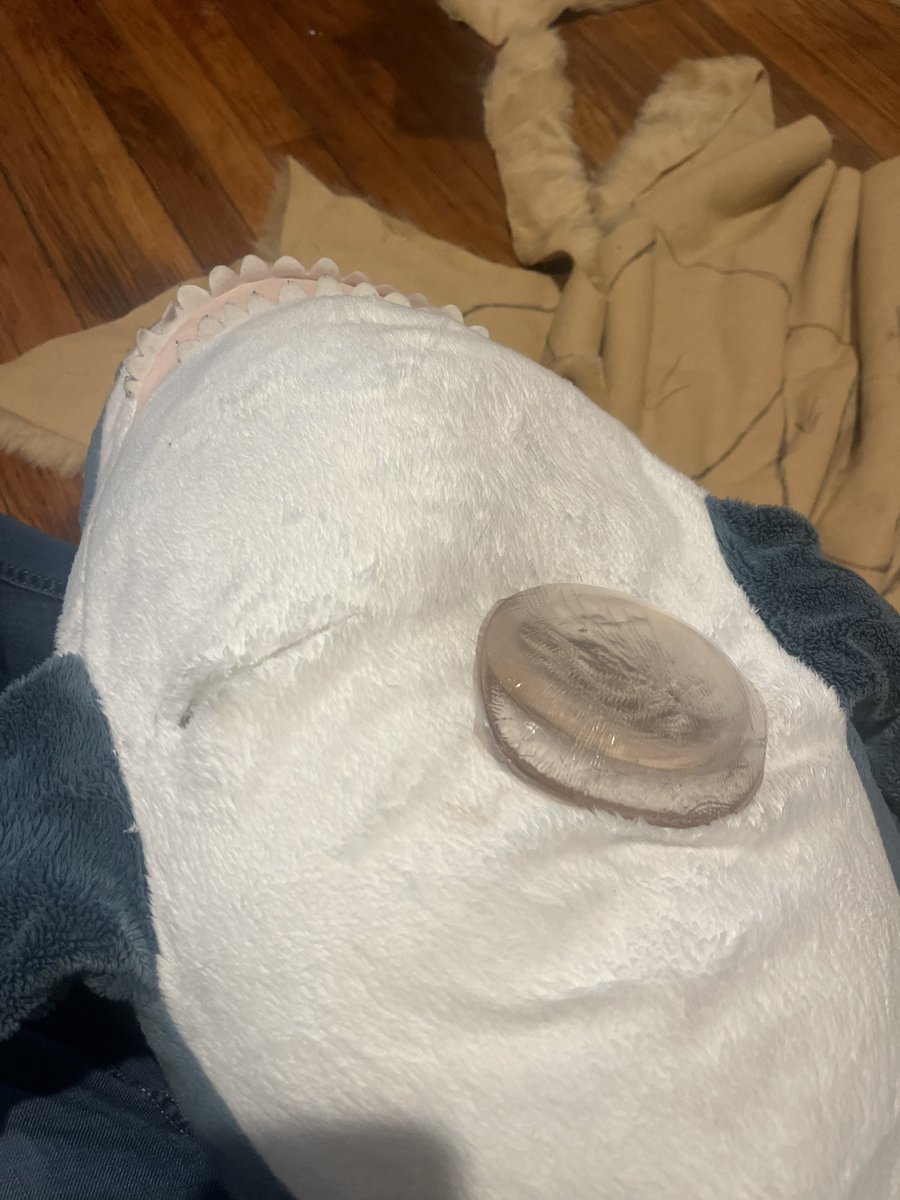 MaineCourseFish's tweet image. Giving my Blahaj top surgery.