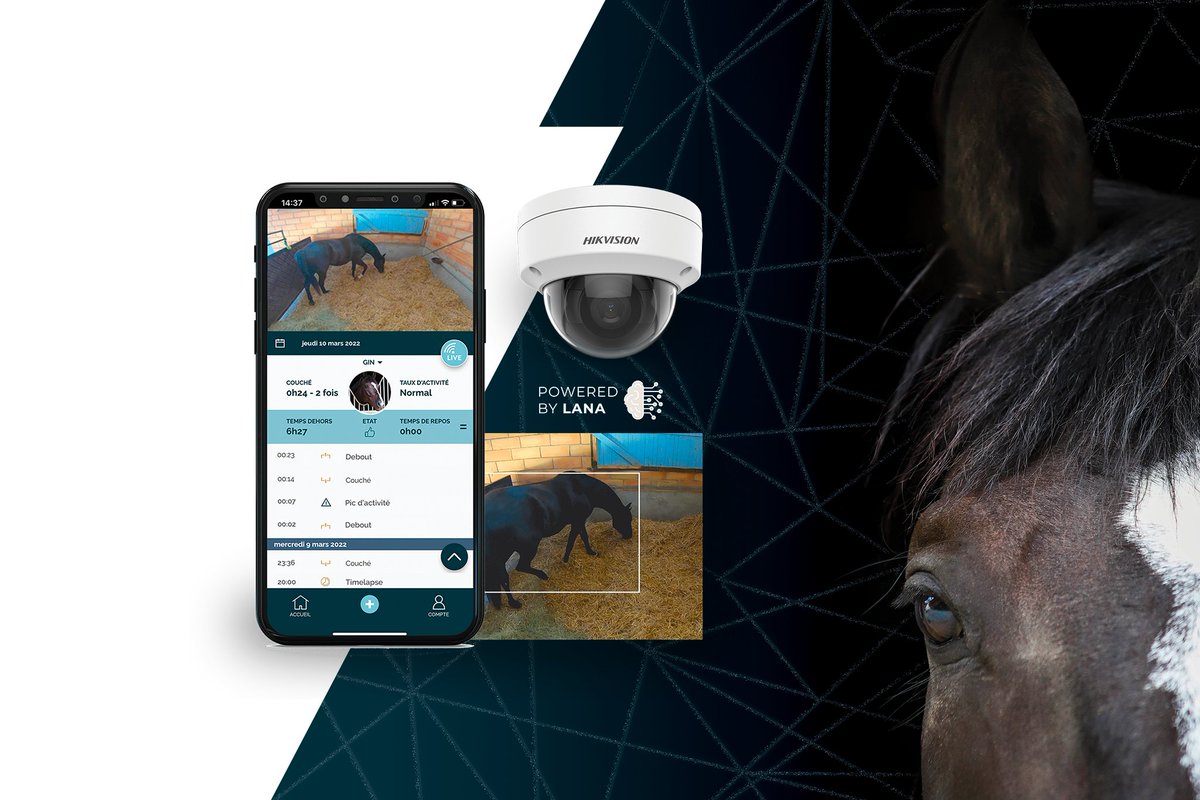 novostable's tweet photo. 🌍🐴 Happy World Horse Day from Novostable! 🐴🌍

Today, we celebrate the incredible spirit, strength, and beauty of horses—the heart of everything we do. Here's to honoring these magnificent animals that inspire us every day! 🏇💫

#WorldHorseDay #EquineExcellence #Novostable https://t.co/3gQbQkYAv7