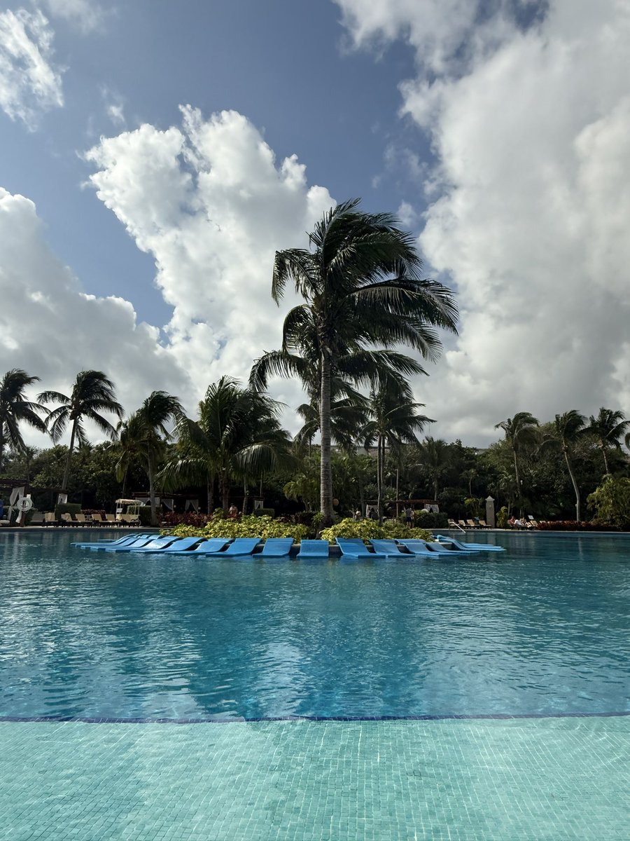 patcronin356's tweet photo. Everyone we meet from
all over loves Josh Allen and the Bills. Maybe it’s the palm trees. #mexico https://t.co/Q4Tob72PAY