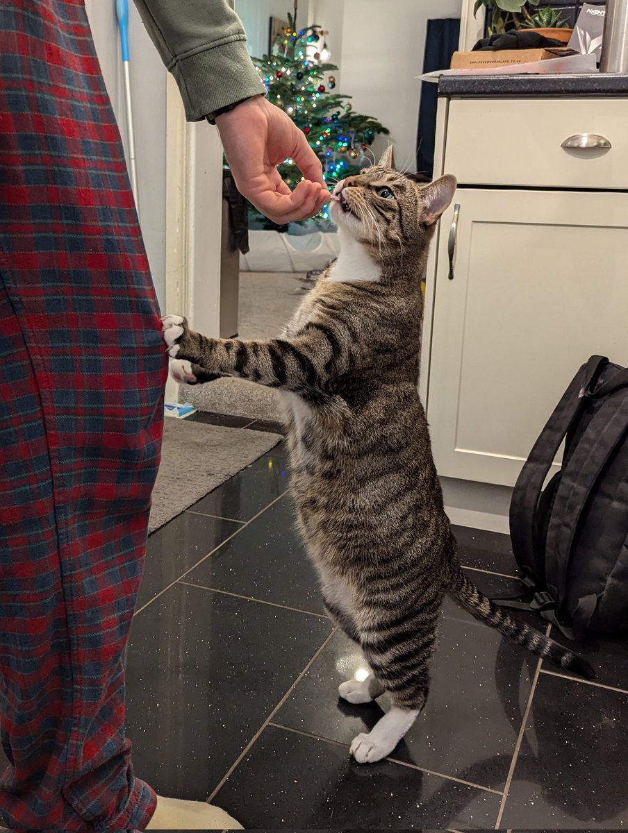 griffin loves annie 🤍 tweet media
