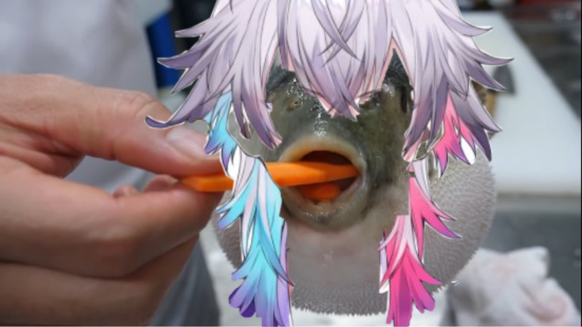 koga ☆ tweet media