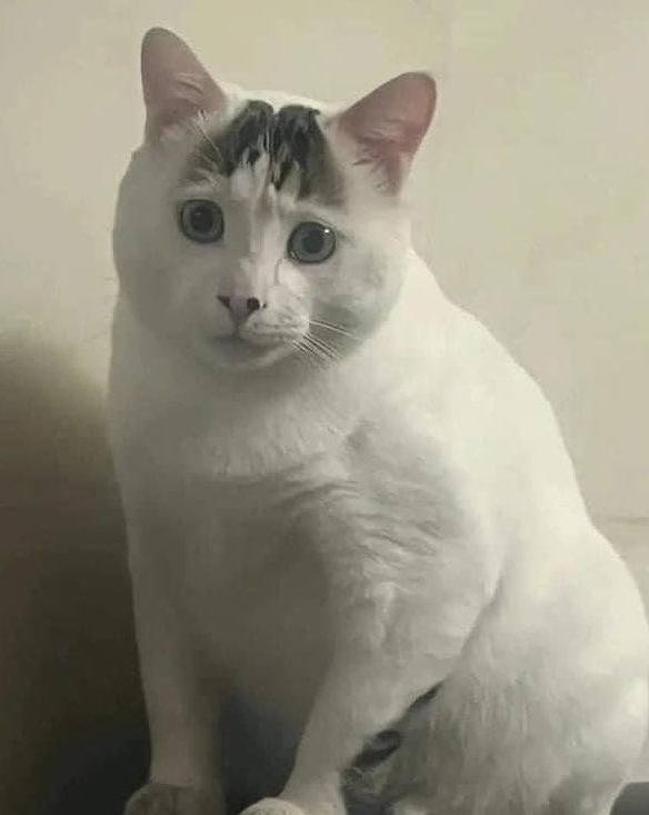 55555555555555555555555555555555555555555555555555555555555555555555555555525252525555555555555555555