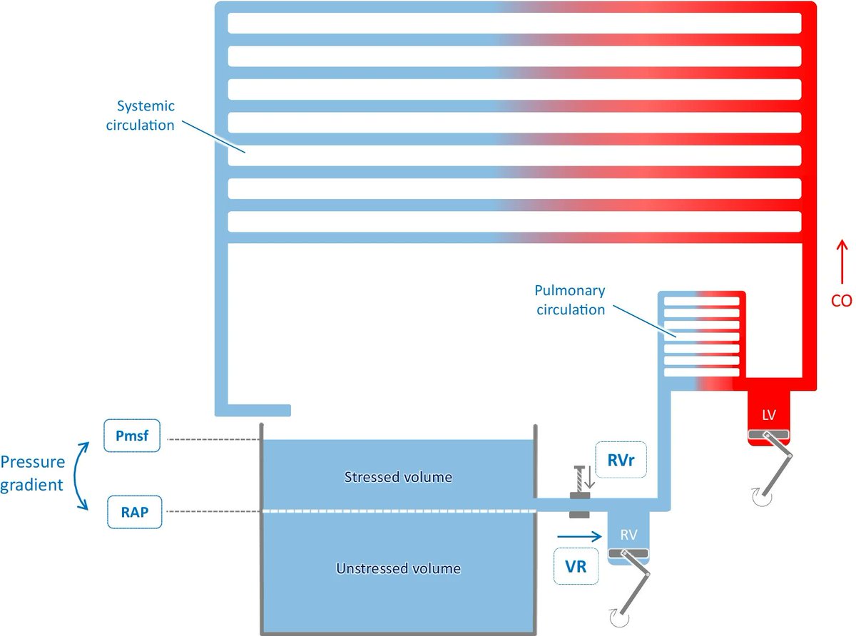 Today's Paper of the Day is venous return and mean systemic filling pressure: physiology and clinical applications

criticalcarereviews.com/latest-evidenc…

Join us to read 1 paper per day and stay up-to-date as we cover the spectrum of critical care across 2024