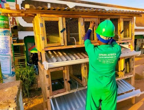 LeandreBaka2's tweet photo. What if farming were more creative? Rabbit farming invites innovation in shelter design, feed formulation, and eco-friendly practices. It’s playground for imaginative solutions to agriculture’s challenges. #FarmInnovations https://t.co/kUhNpOCZ1e