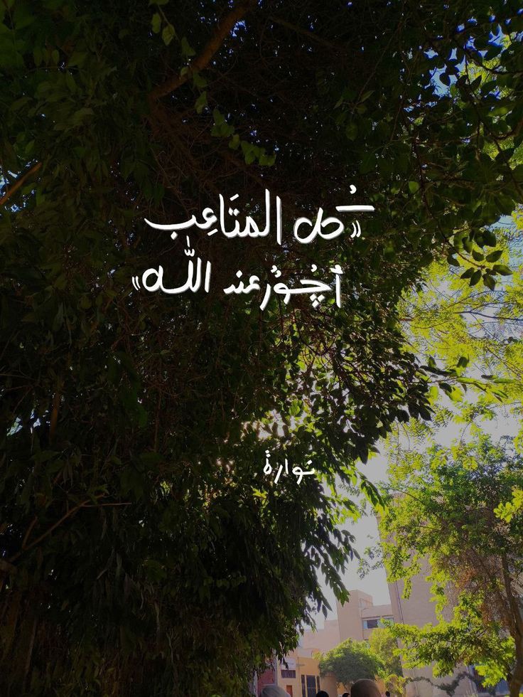 NosaybaYousef's tweet photo. https://t.co/kczcfP7x0c