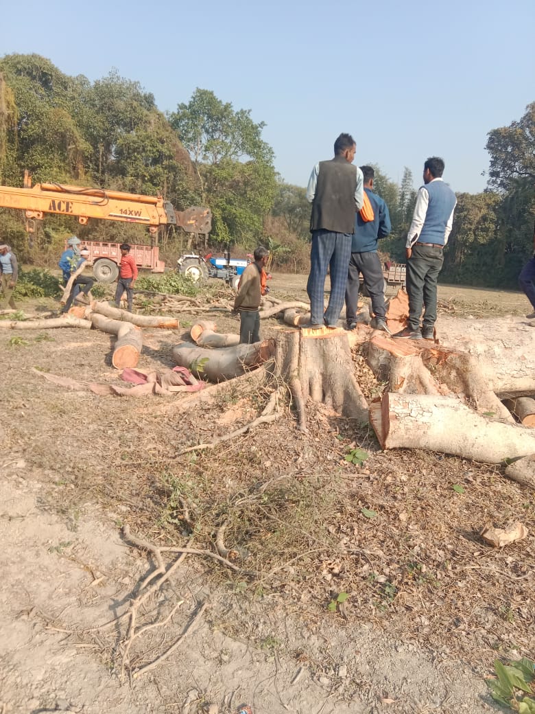 ythdi's tweet photo. अतरौली थानाक्षेत्र के बहुती गांव के मजरा मवइया में 10 पेड़ों का परमिट हुआ था। पेंड़ भी काट लिए थे। आज रात से प्रतिबंधित गूलर के पेंड़ बिना परमिट काटे जा रहे हैं। @hardoipolice @Igrangelucknow @dgpup https://t.co/QNhRIEvqLJ