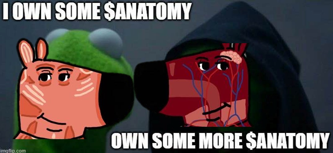 ChillAnatomy's tweet photo. $Anatomy #memecoin https://t.co/ya6f7Jgqt3