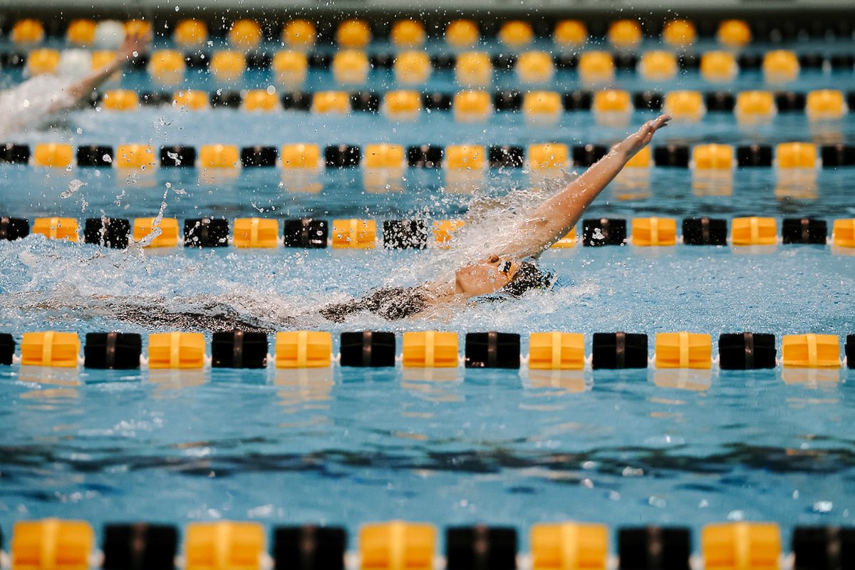 IowaSwimDive's tweet photo. Back in Black🖤
100 Back
1. Annie Galvin - 54.30, PR, 8th at Iowa
2. Hope Schimming - 55.67
3. Elizabeth Beam - 56.07

#Hawkeyes https://t.co/tIu6BSKQpd