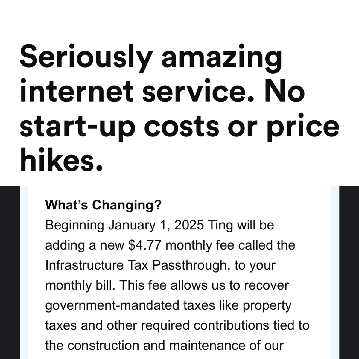 thomas shaffer tweet media