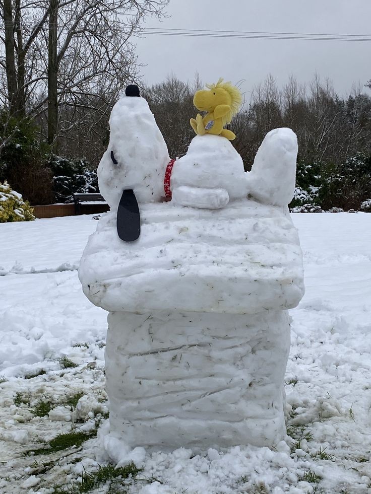 Snoopy and Woodstock 🧊❄️