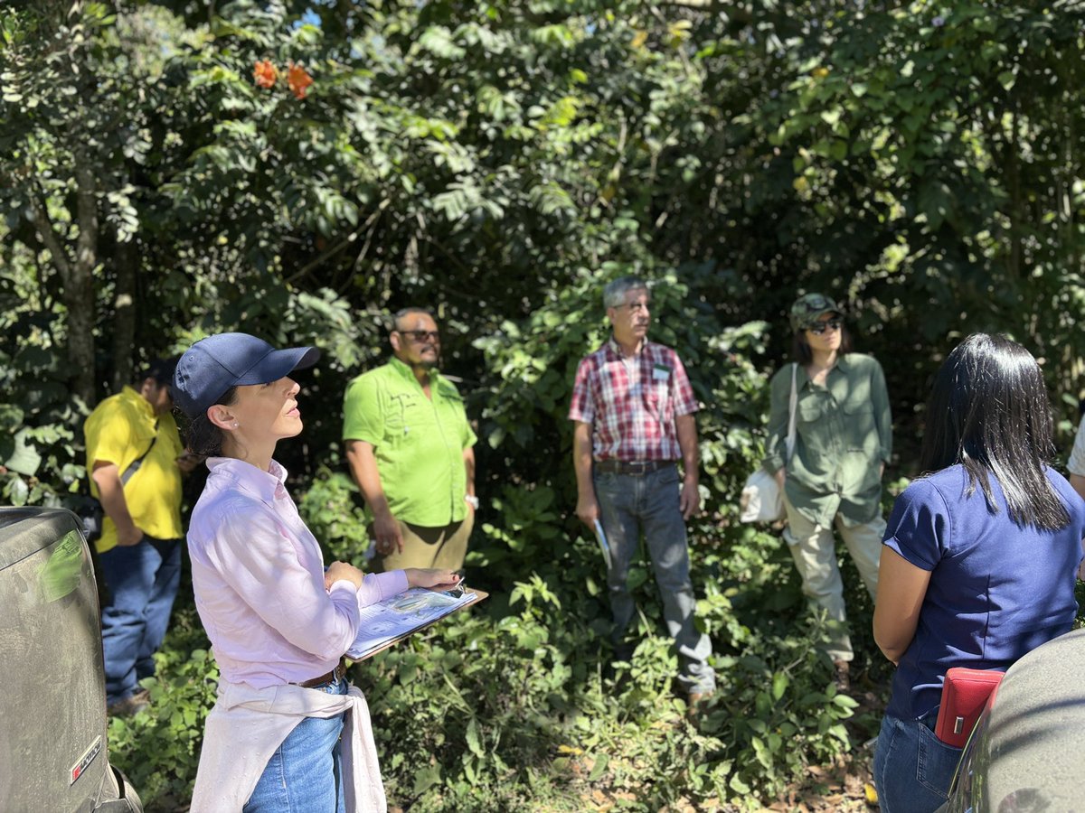KfW_en_CA's tweet photo. 🇩🇪🇸🇻| Esta semana acompañamos junto a @ObrasPublicasSV @ViviendaSV la verificación de avances del Programa de Adaptación Urbana al Cambio Climático 🌦️ que beneficia el Área Metropolitana de San Salvador 🏙️ para proteger y preparar a la población ante el cambio climático 🌱(1/2) https://t.co/BY1P5Or5S8