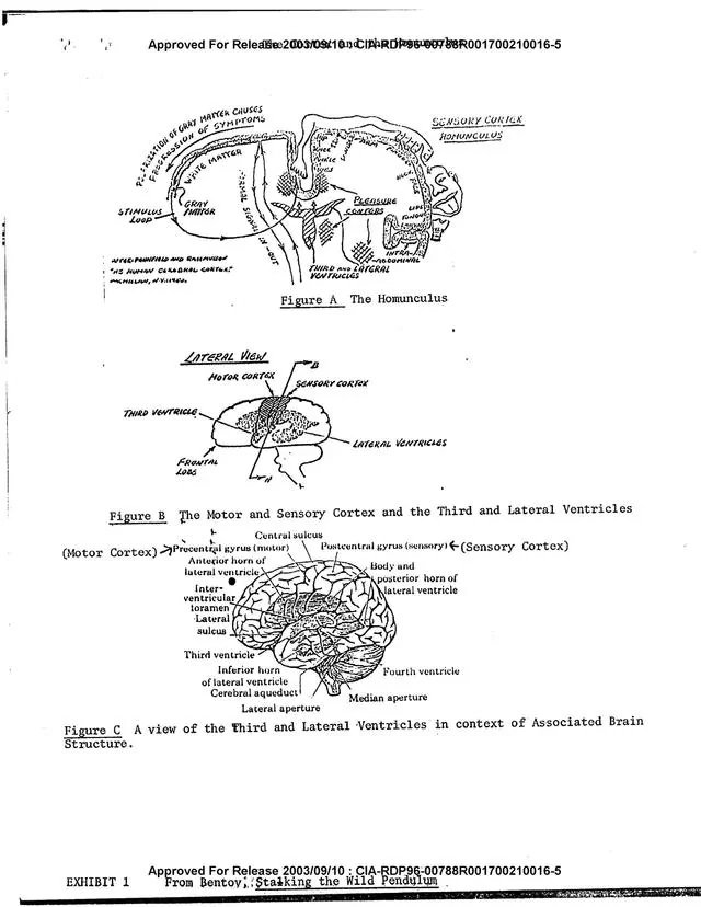 Unexplained2020's tweet image. The shocking official CIA documents on human consciousness say Consciousness is not a part of our body at all. It's stored in our brain, but not a part of it. Our consciousness (us) is its own being, a ghost version of us.