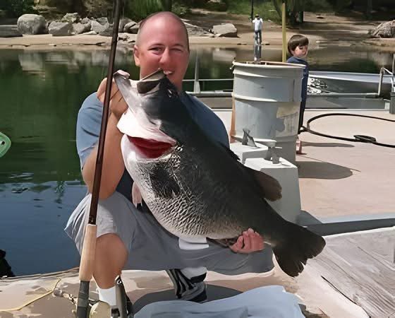 TeamBassManager's tweet photo. 21.69 lb Cali Bass Lake Dixon "Dottie" the bass heard around the globe https://t.co/j0ijlXGLsN